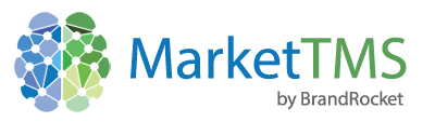 Market TMS - Transcranial Magnetic Stimulation Marketing and Digital Advertising